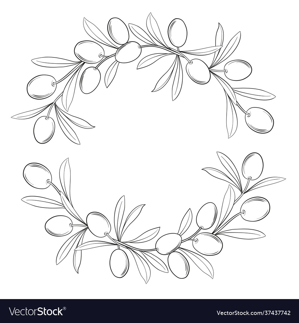 Silhouette frame with olive branches Royalty Free Vector