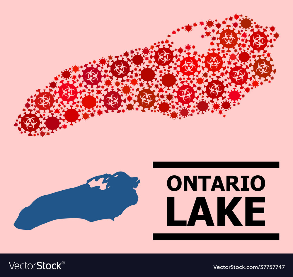 Map ontario lake - mosaic with covid-2019 Vector Image