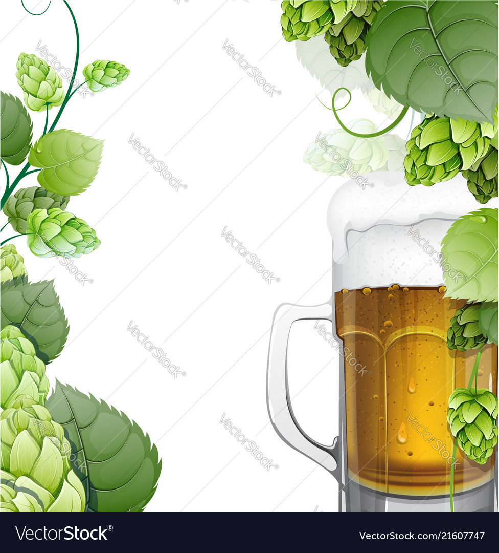 Mug of beer with hops on white