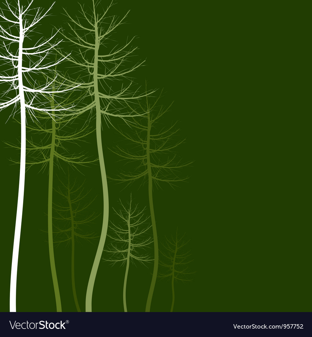Abstract tree5