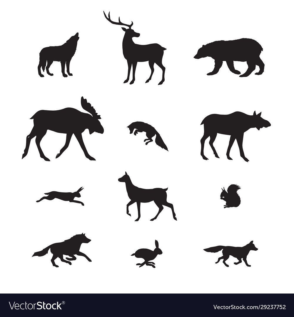 Black set forest wild animals silhouette Vector Image Black set forest wild animals silhouette Vector Image