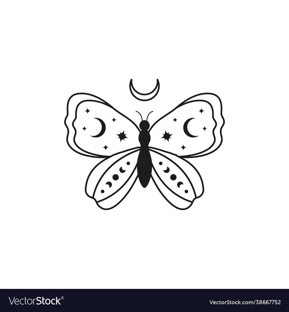 Celestial butterfly with stars crescent and moon Vector Image