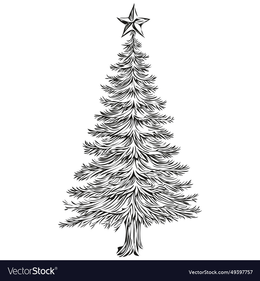 Christmas tree hand drawn logo vintage sketch Vector Image