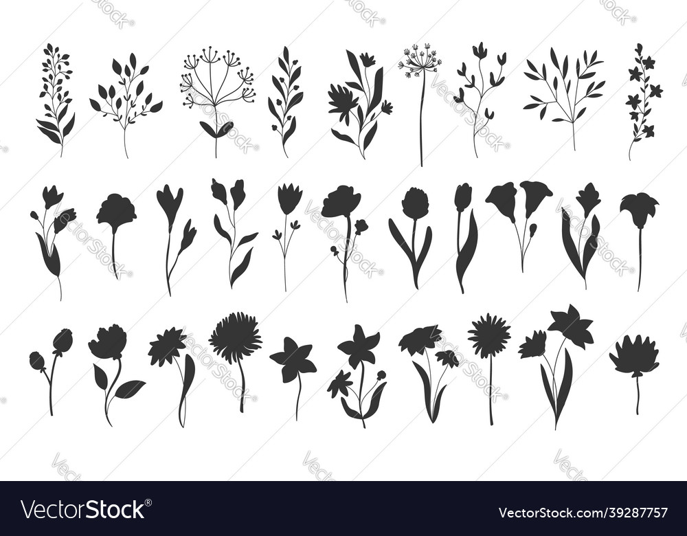 Silhouettes Floral Elements Royalty Free Vector Image