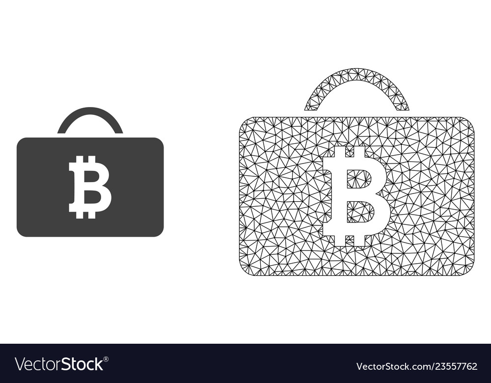 Wire frame mesh bitcoin case and flat icon