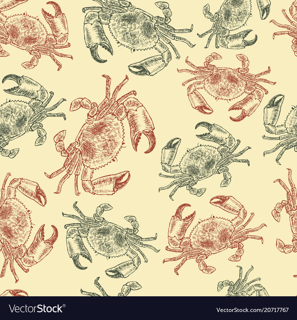 Crab sketch seamless pattern vector image Crab sketch seamless pattern