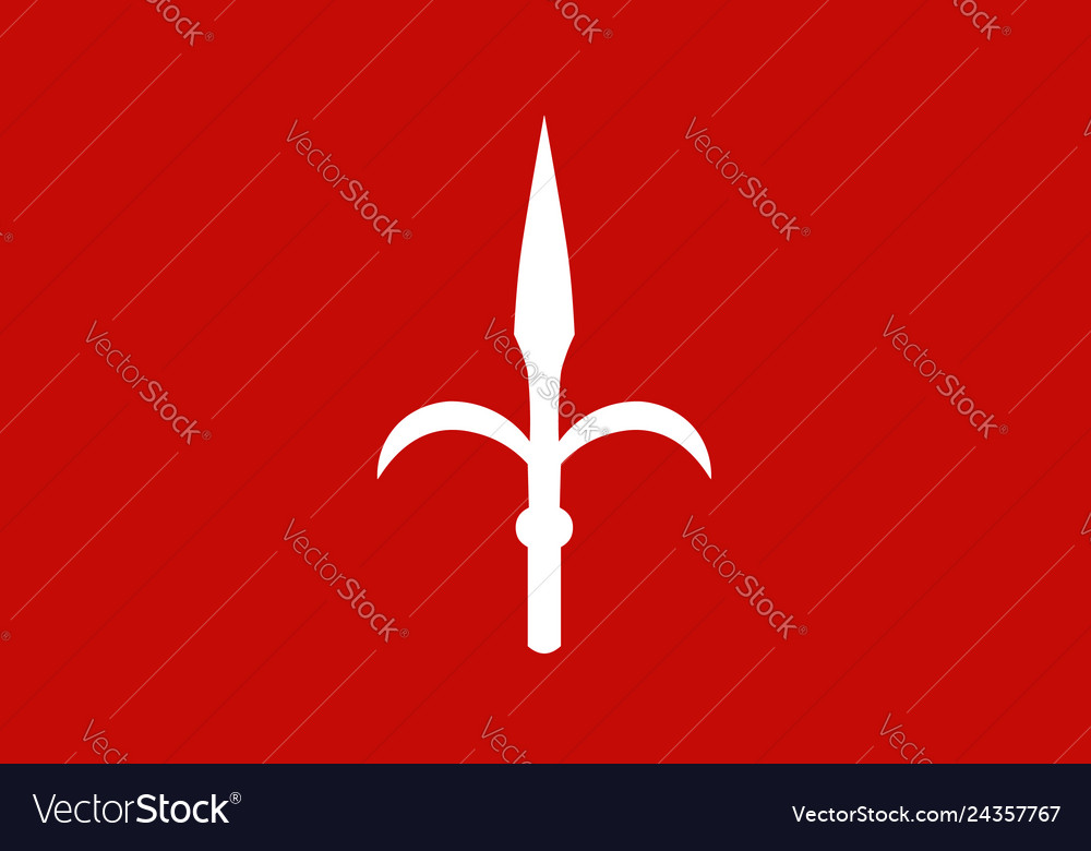 Flag of trieste friuli-venezia giulia italy Vector Image