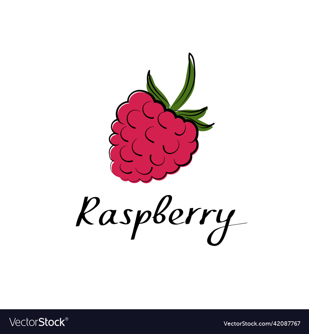Hand-Drawn Raspberry Sketch