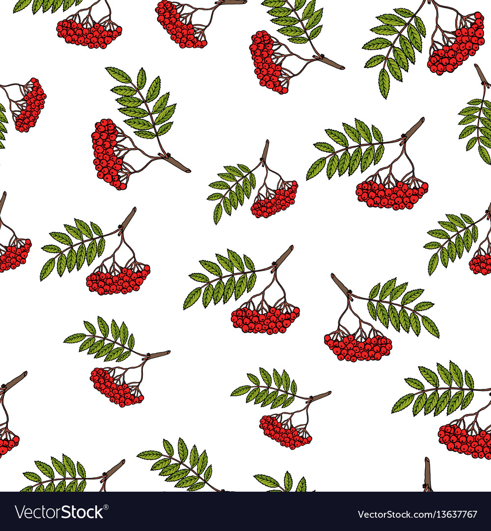 Rowan Tree Berry Pattern