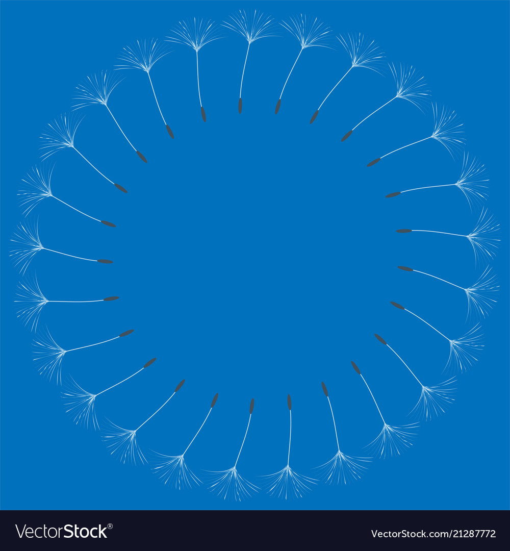 Abstract frame of a dandelion for design vector image Abstract frame of a dandelion for design