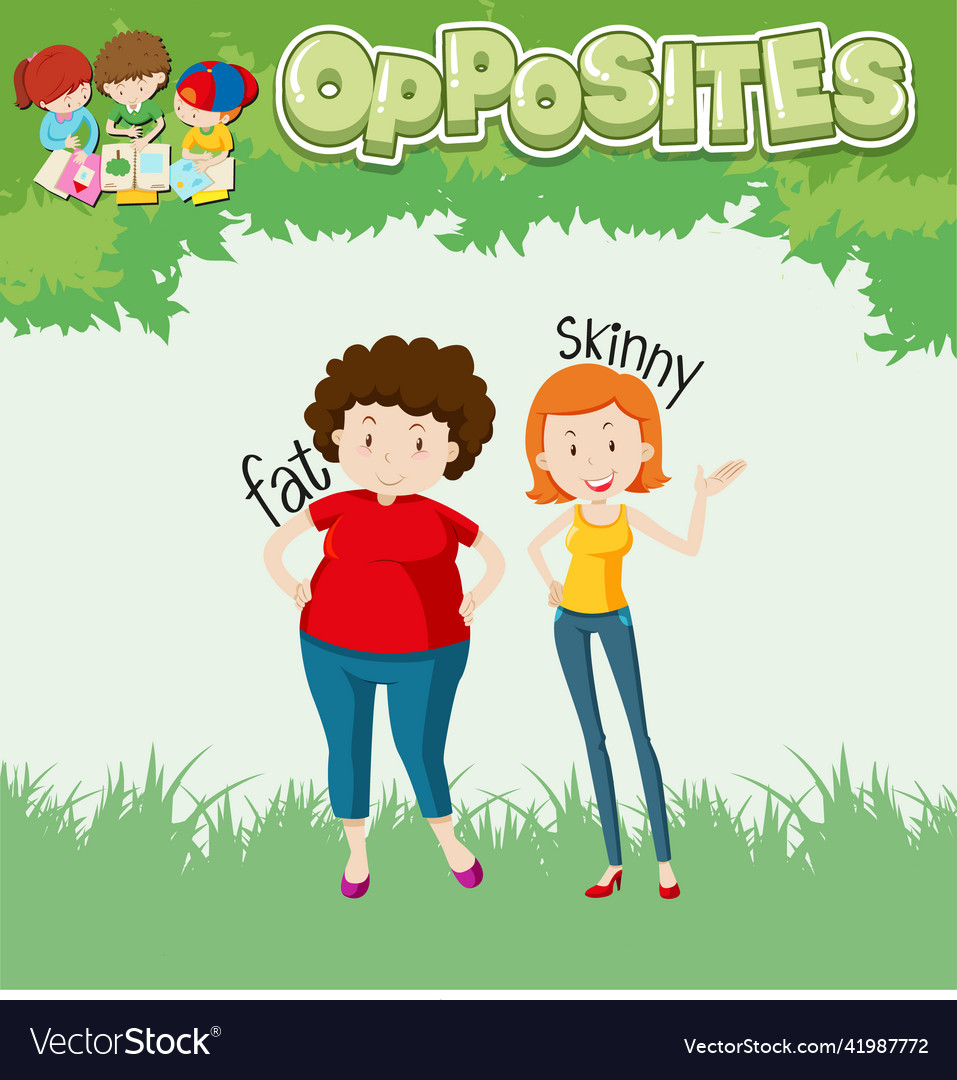 Opposite words for fat and skinny vector image Opposite words for fat and skinny