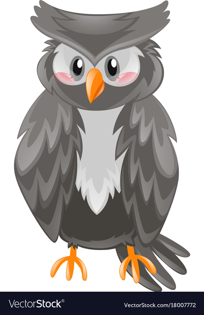 Owl with black feather Royalty Free Vector Image