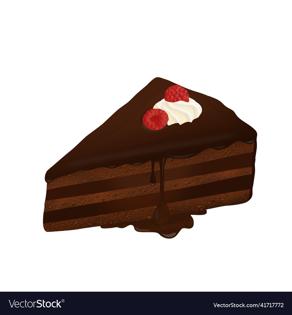 Slice of chocolate cake with fresh raspberry Vector Image