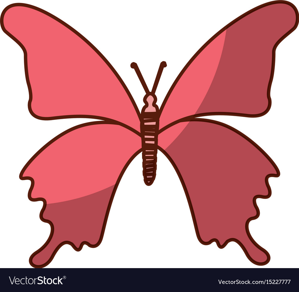 Images Of Pink Cartoon Butterfly Pictures
