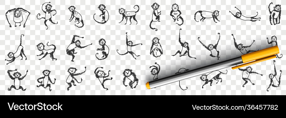 Playful Monkey Doodle Set Royalty Free Vector Image
