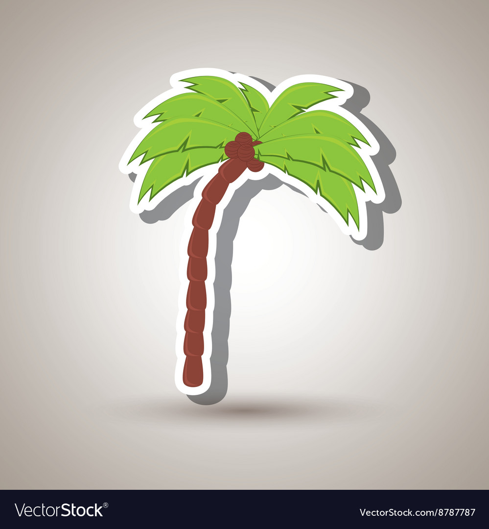 Palm isolated design Royalty Free Vector Image