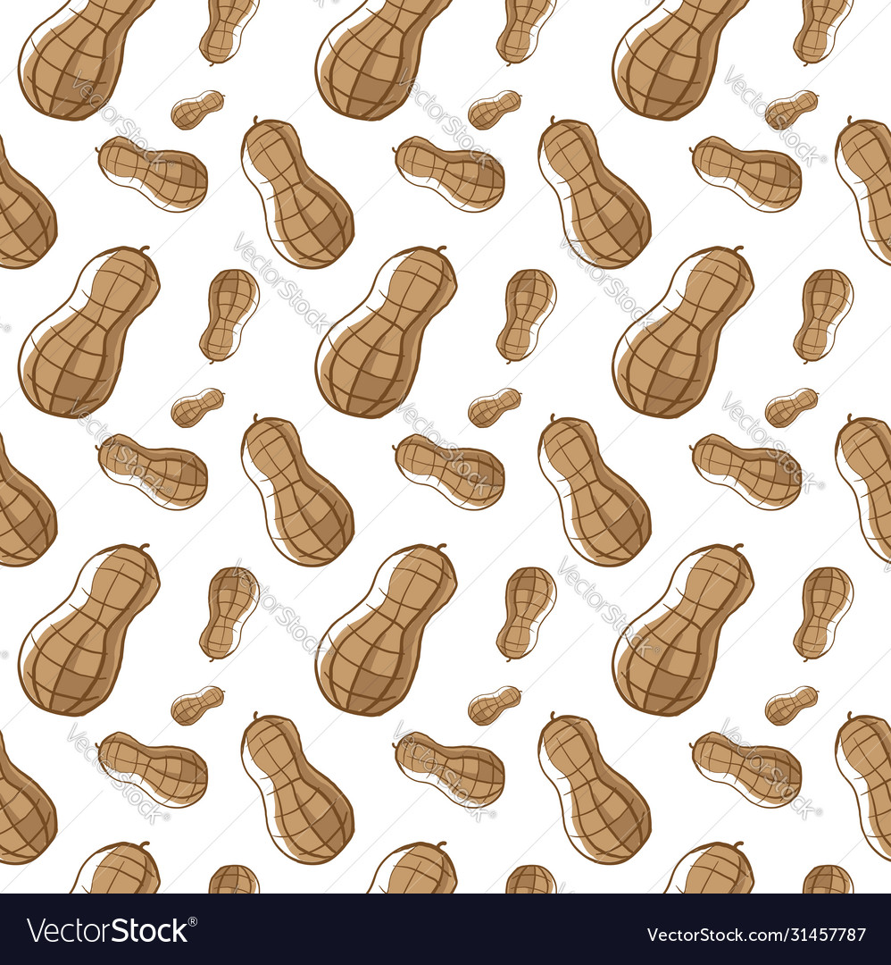 Peanuts pattern on white background Royalty Free Vector