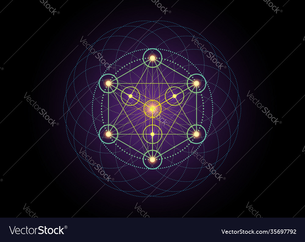 Metatrons cube flower life sacred geometry Vector Image