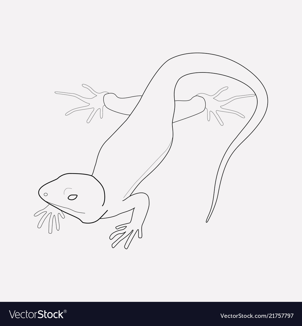 Lizard icon line element