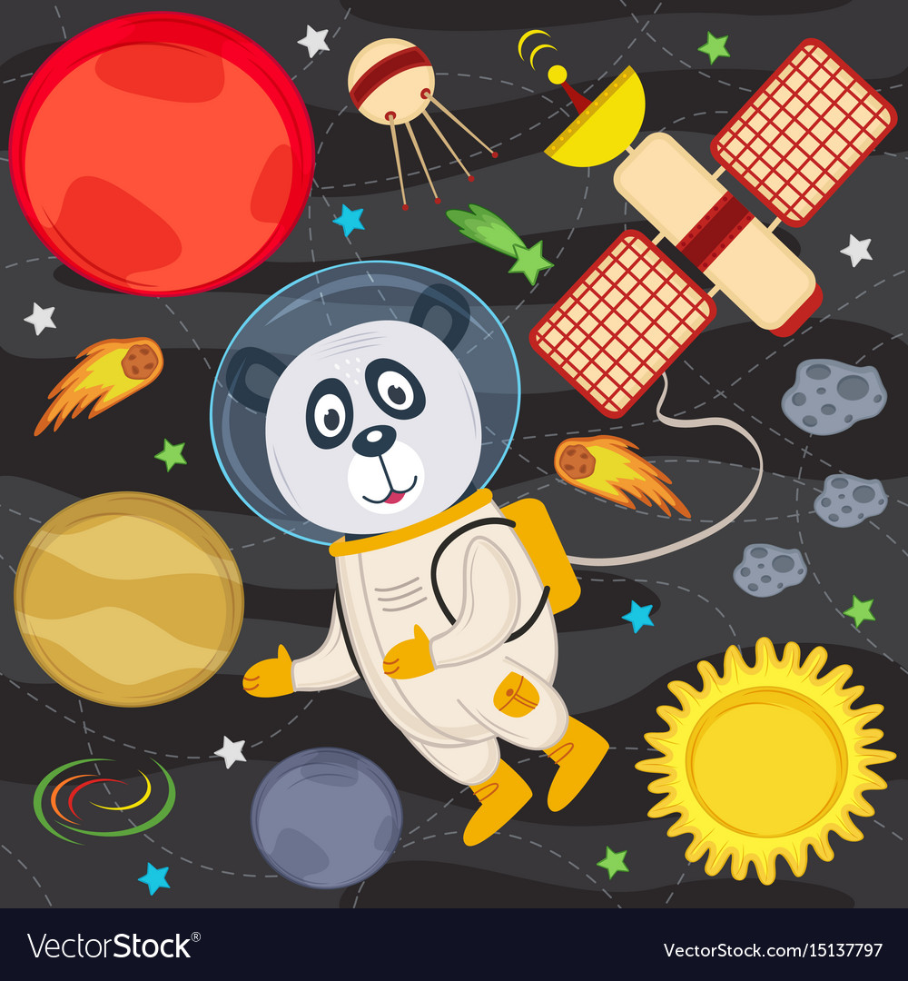 Panda in space