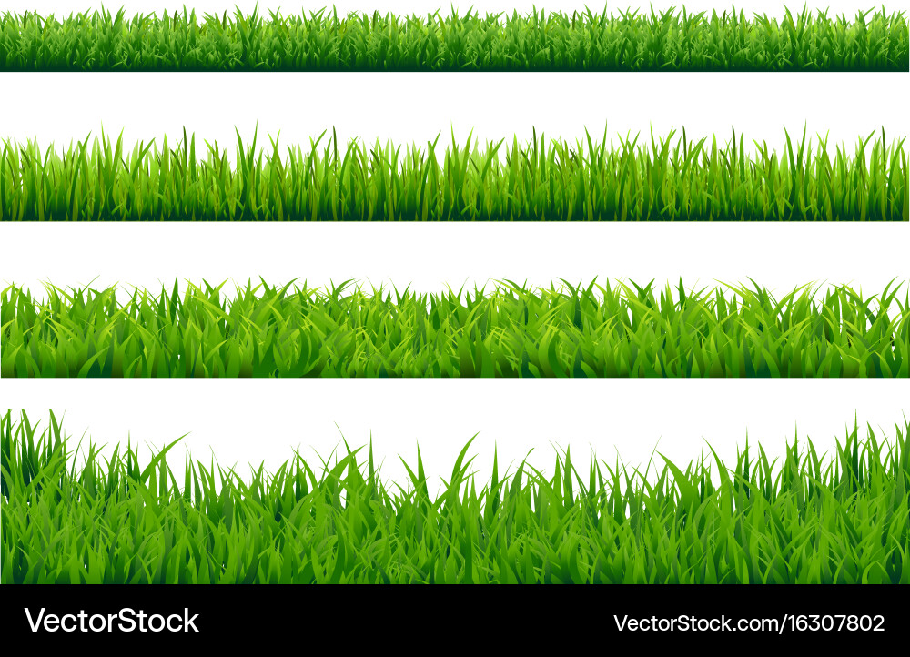 Green grass borders set Royalty Free Vector Image