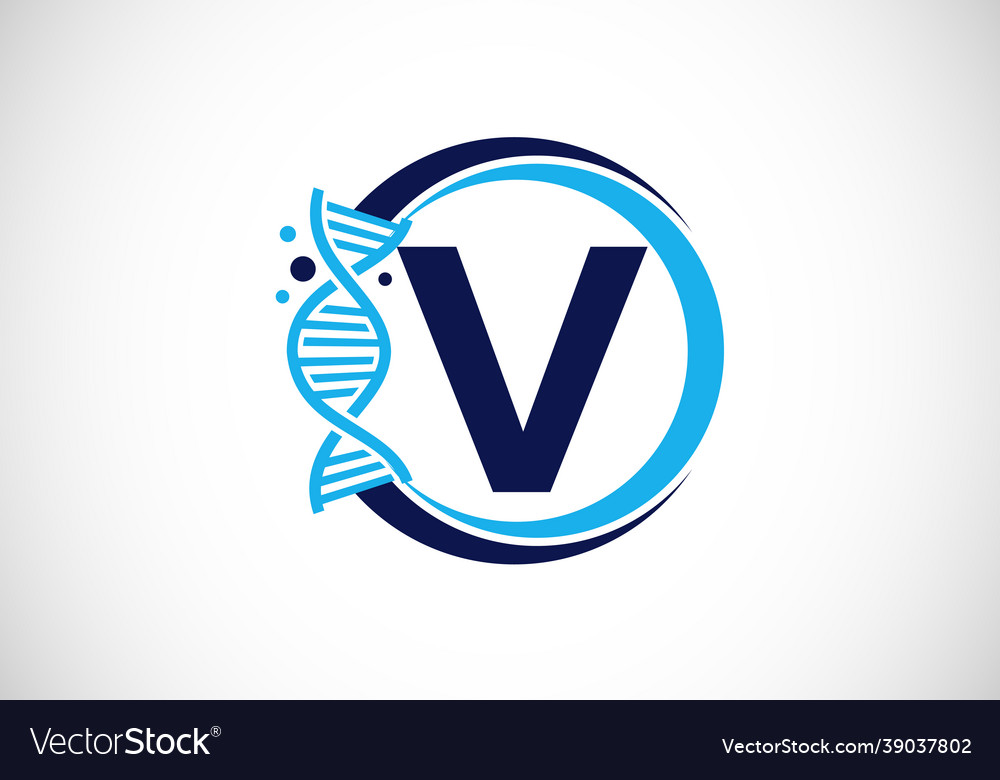 Initial v monogram alphabet in a circle with dna Vector Image Initial v monogram alphabet in a circle with dna