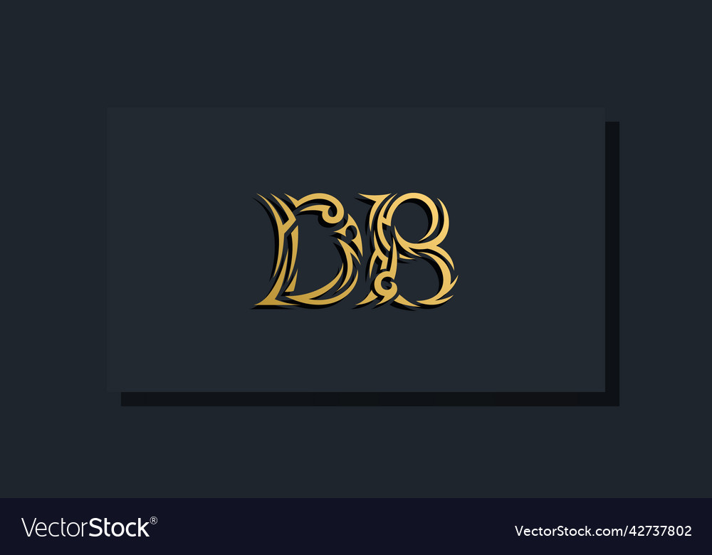 Luxury initial letters db logo design vector image Luxury initial letters db logo design