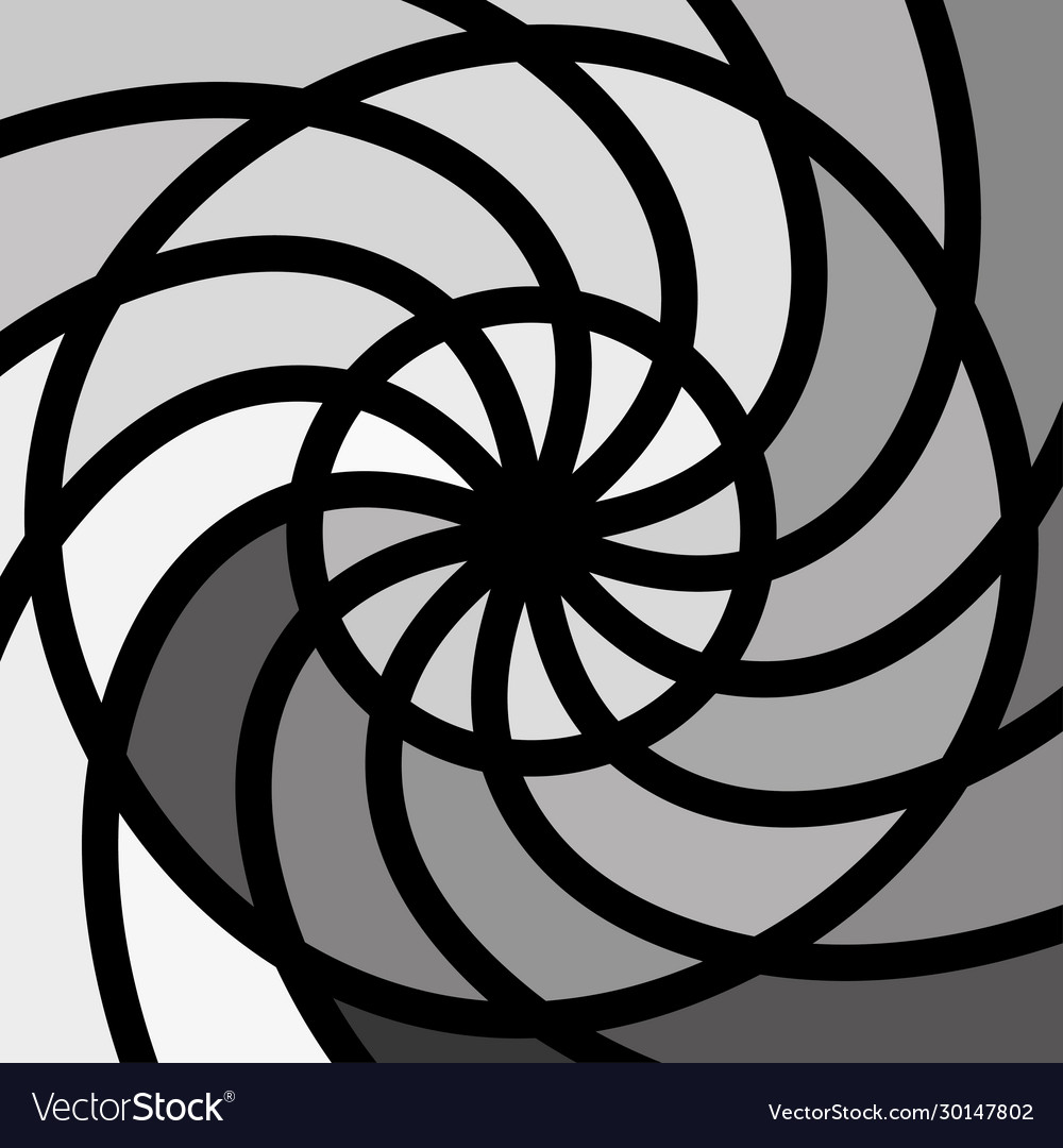 Round shapes swirl design template shell pattern vector image Round shapes swirl design template shell pattern