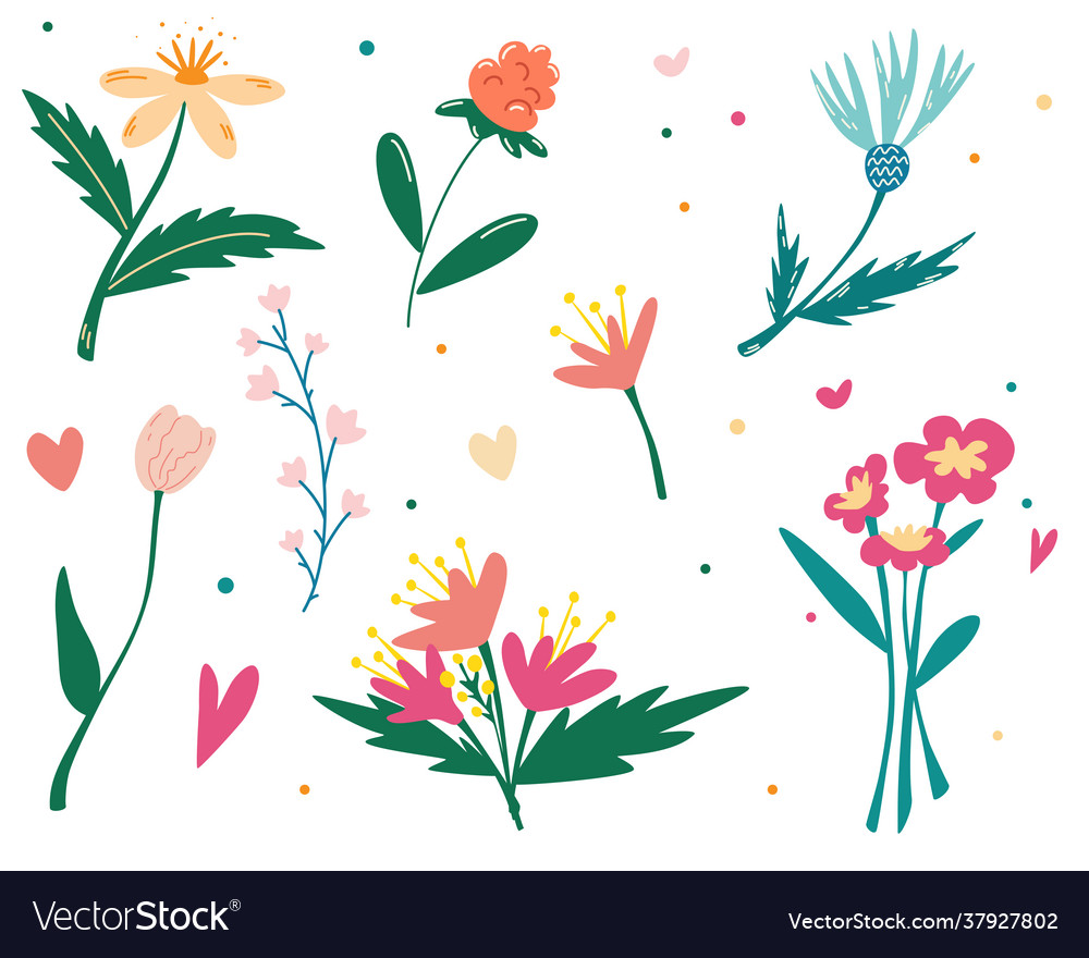 Set wildflowers botanical collection Royalty Free Vector