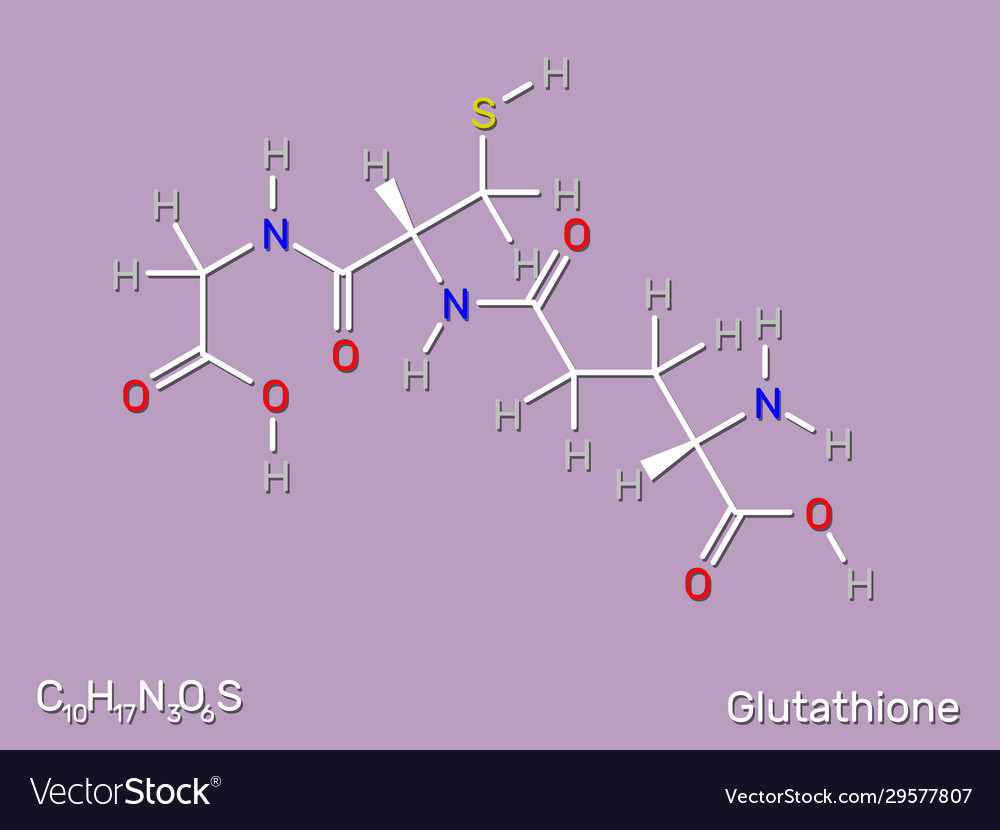 Glutathione Gsh Structural Formula Royalty Free Vector Image 1526