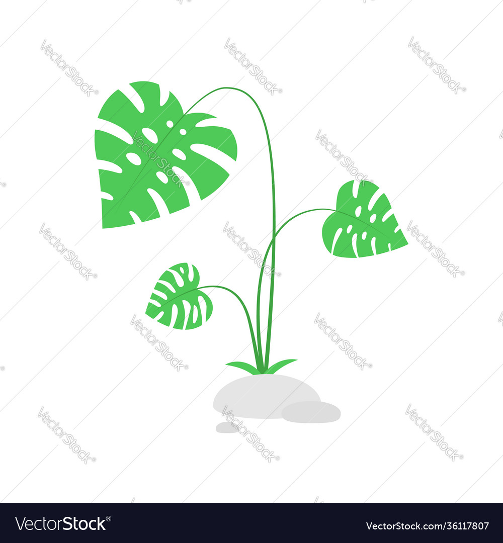 Green bush with tropical leaves