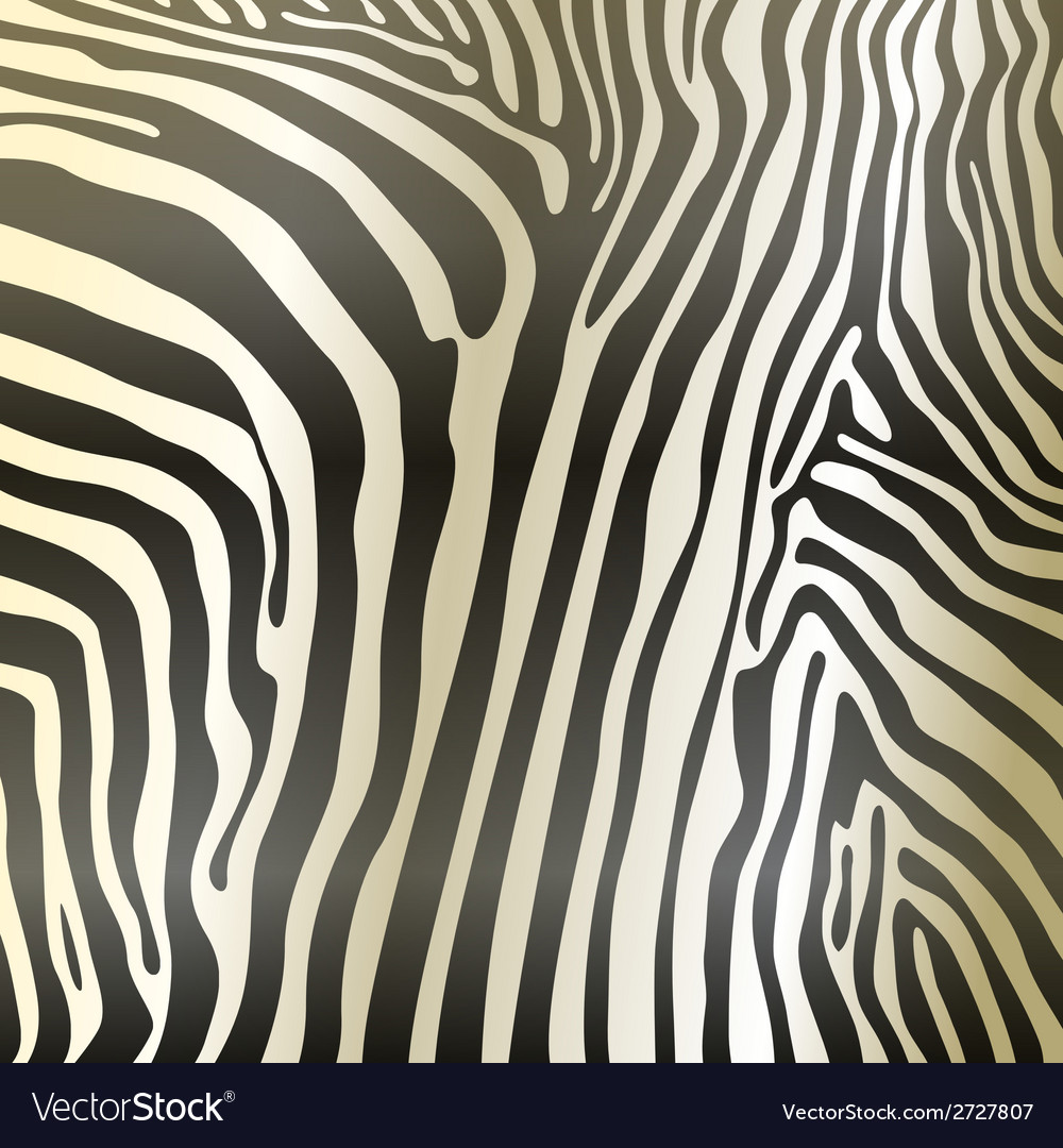 Savannah pattern background design elements zebra