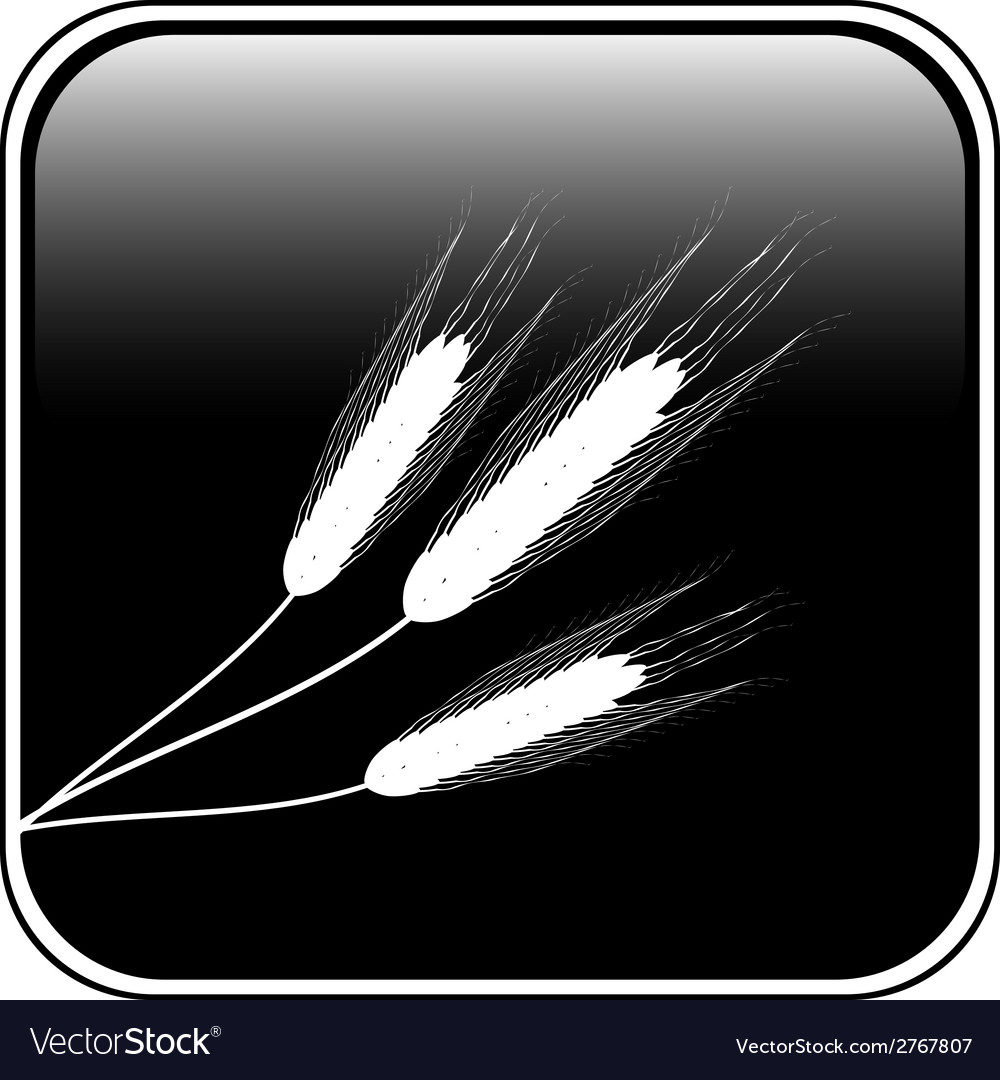 Wheat button