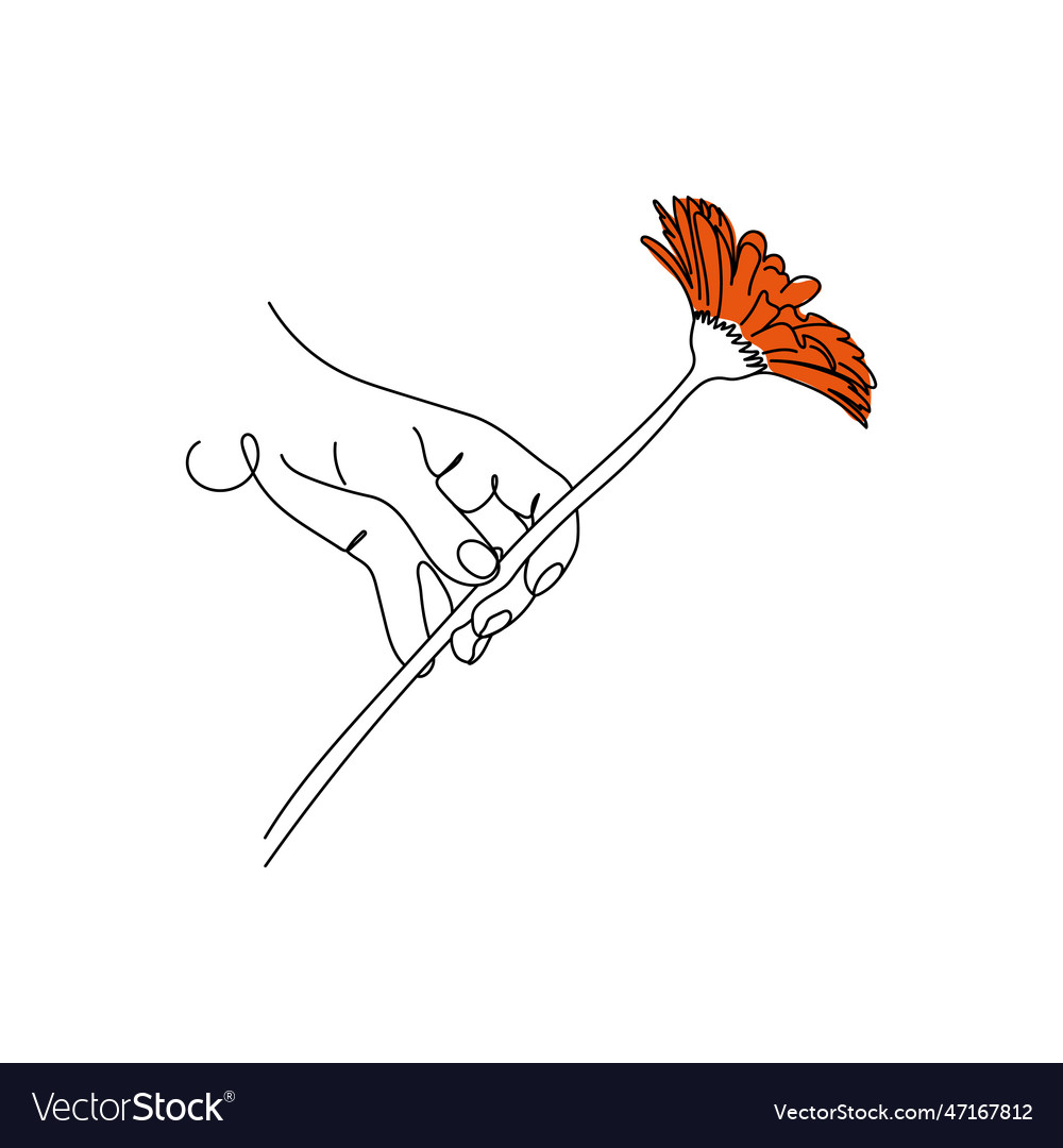 Hand halten eine einzelne gerbera Blume Linie Kunst vector image Hand halten eine einzelne gerbera Blume Linie Kunst