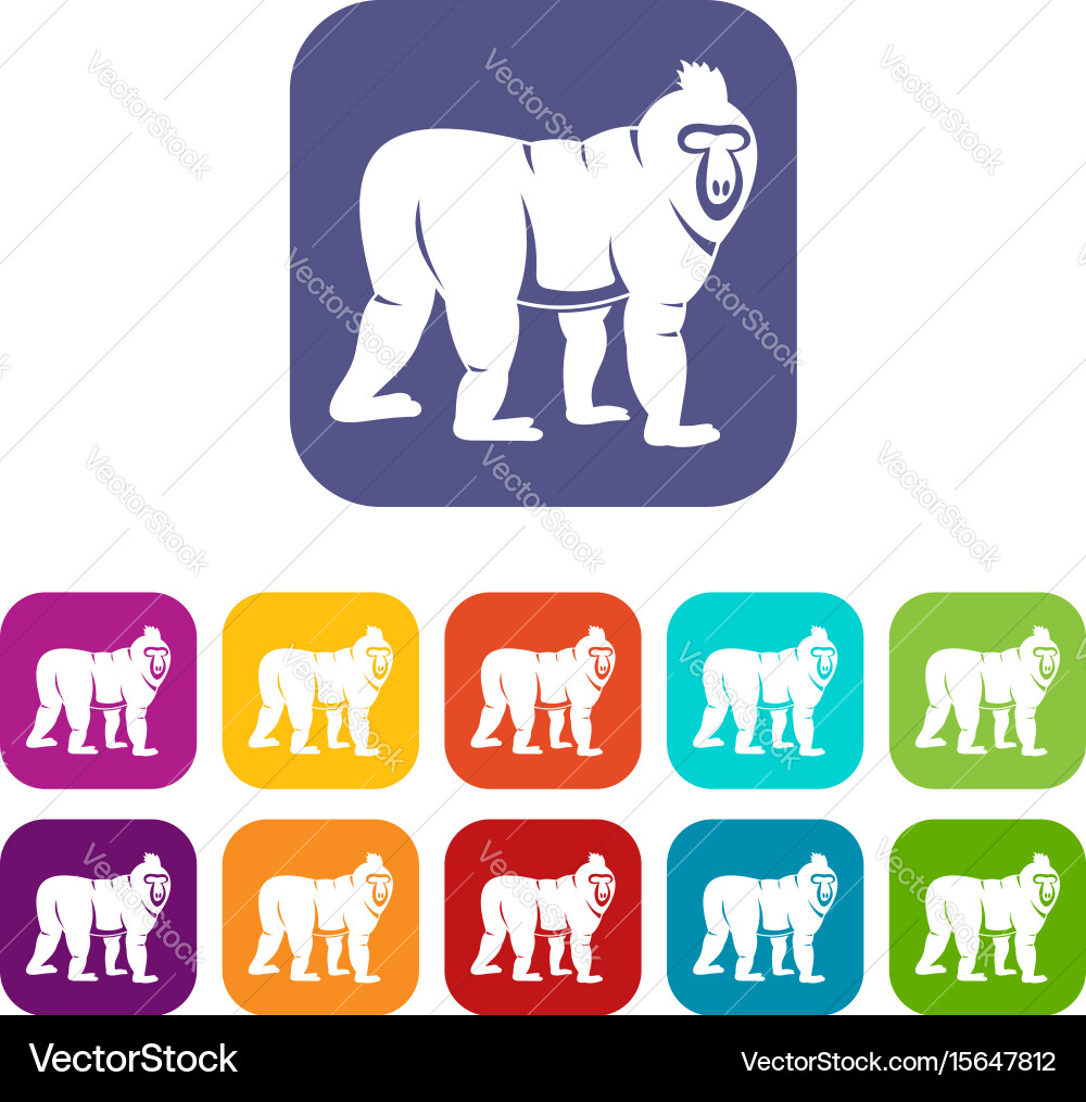 Mandrill monkey icons set flat Royalty Free Vector Image
