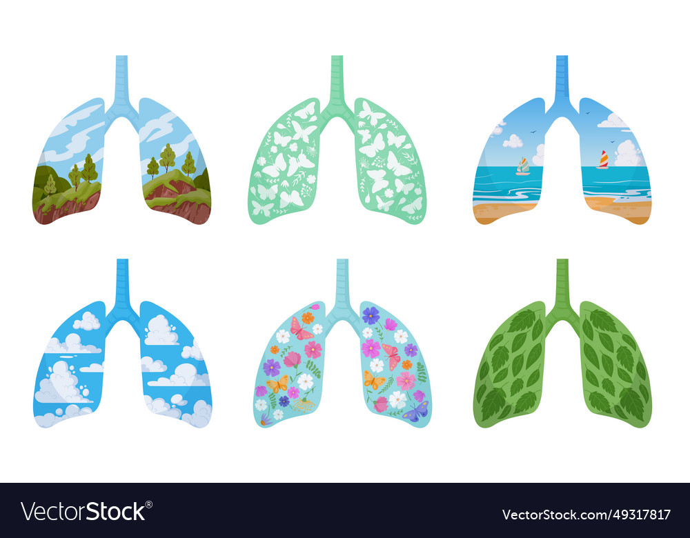 Cartoon clean lungs human healthy green Royalty Free Vector