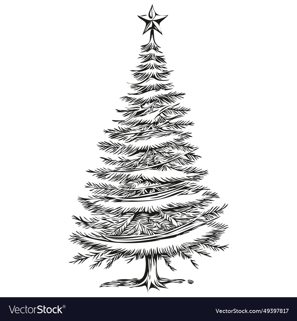 Christmas tree vintage engraved hand drawn sketch Vector Image