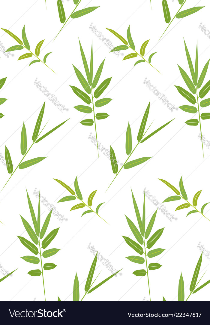 Green bamboo leaves