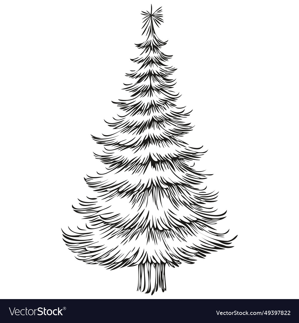 Christmas tree vintage sketch poster hand drawn Vector Image