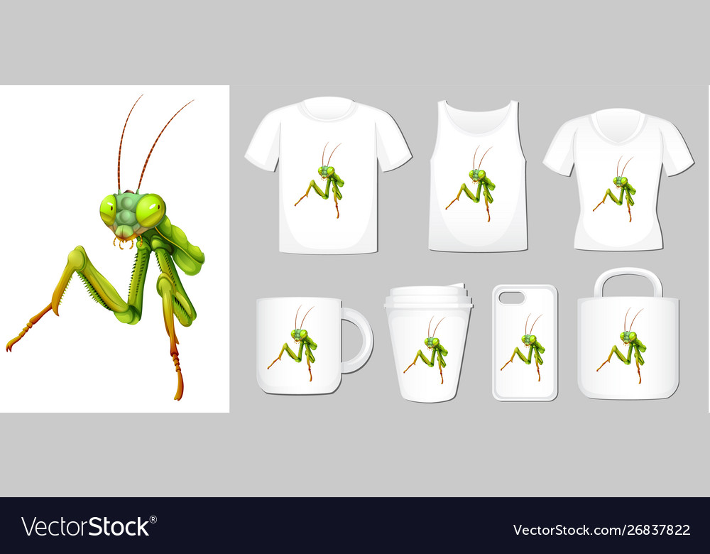 Graphic grasshopper on different types Vector Image Graphic grasshopper on different types