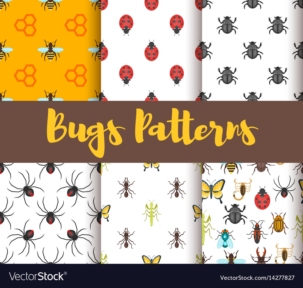 Flat style set of patterns with bug