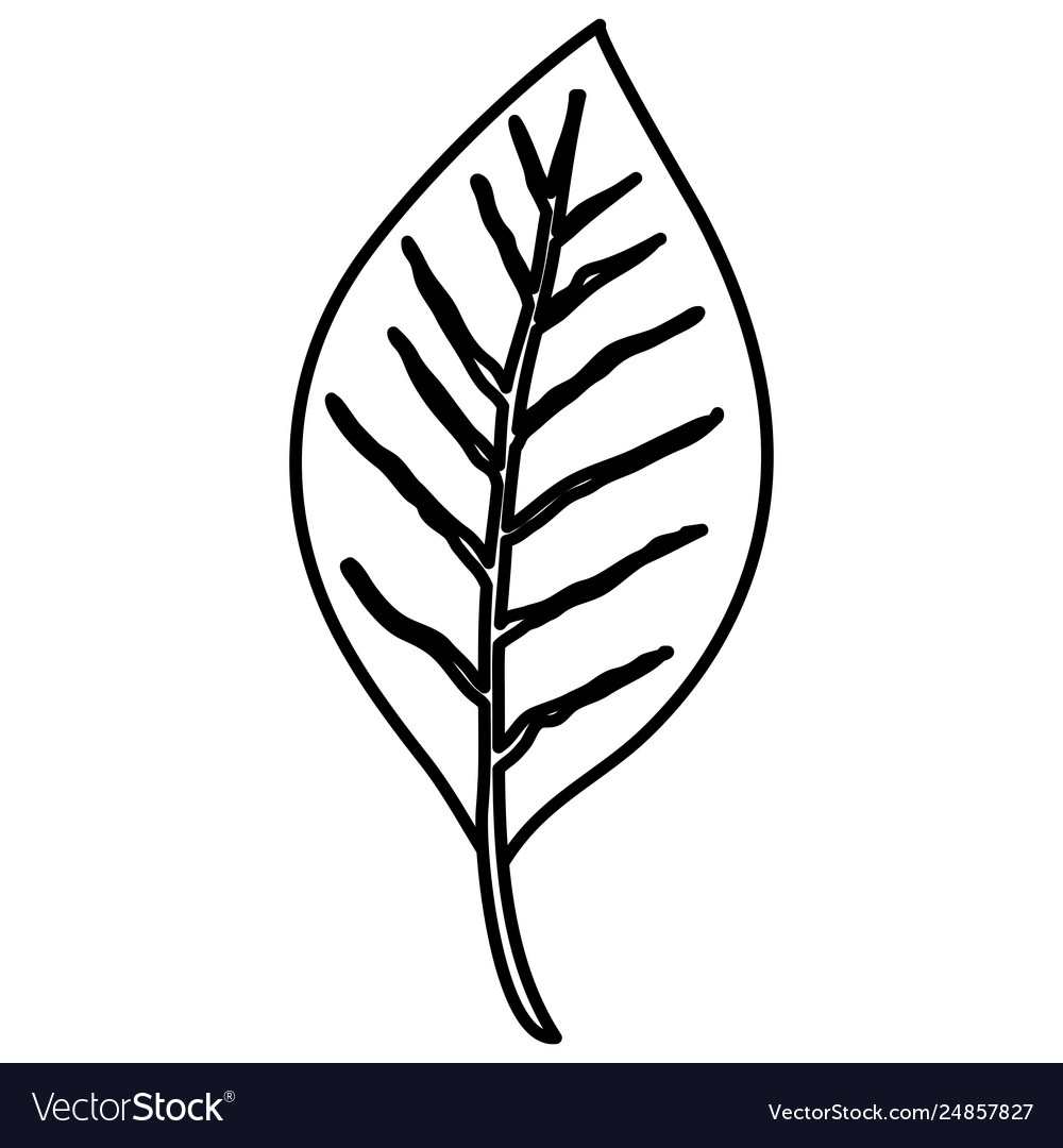 Leaf single decorative icon Royalty Free Vector Image