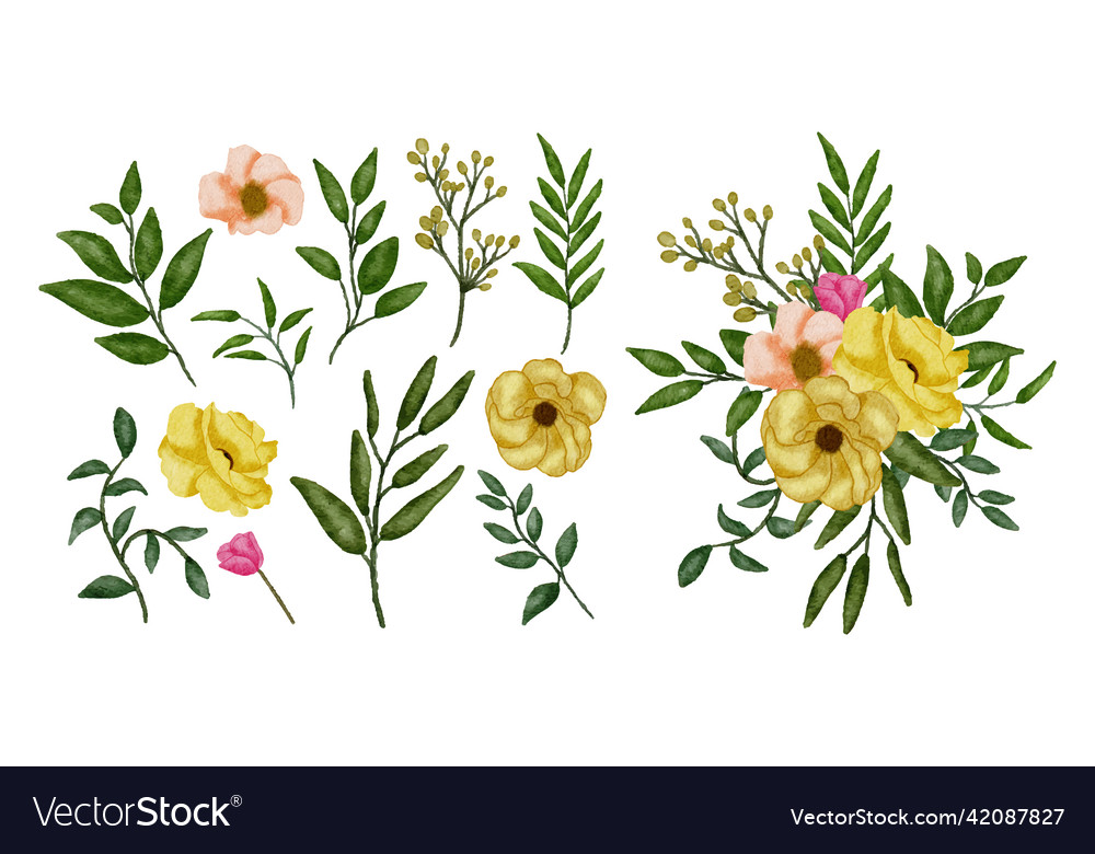 Watercolor bouquet flowers Royalty Free Vector Image