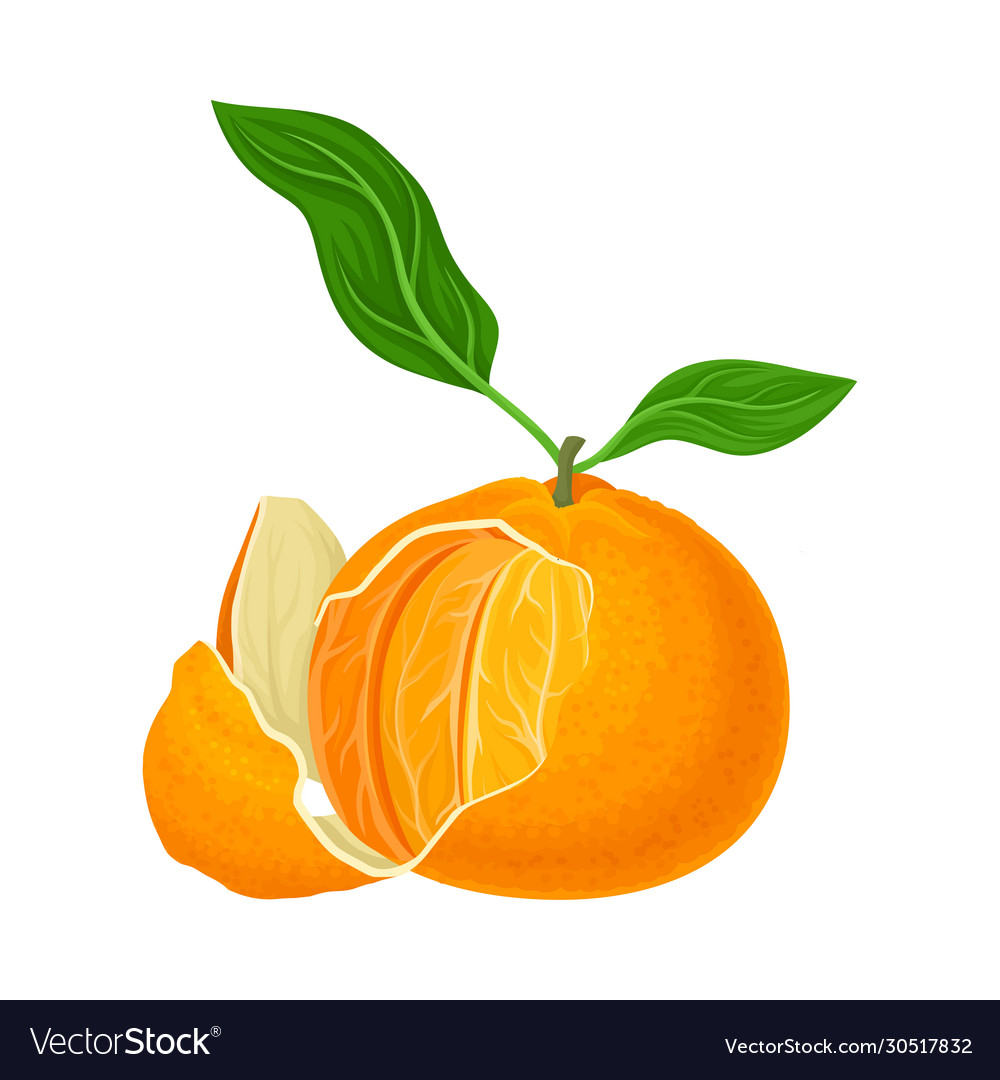 Half peeled mandarin or tangerine fruit with green