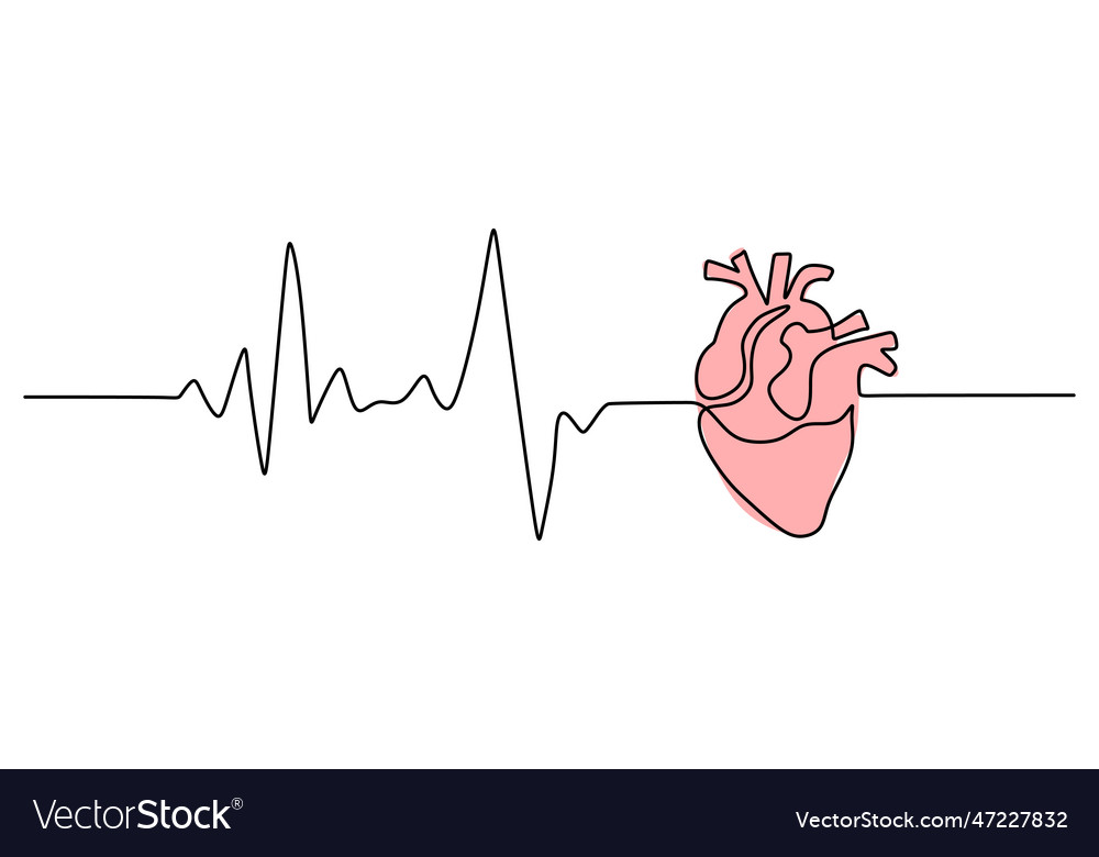 One continuous single line drawing of heart beat Vector Image