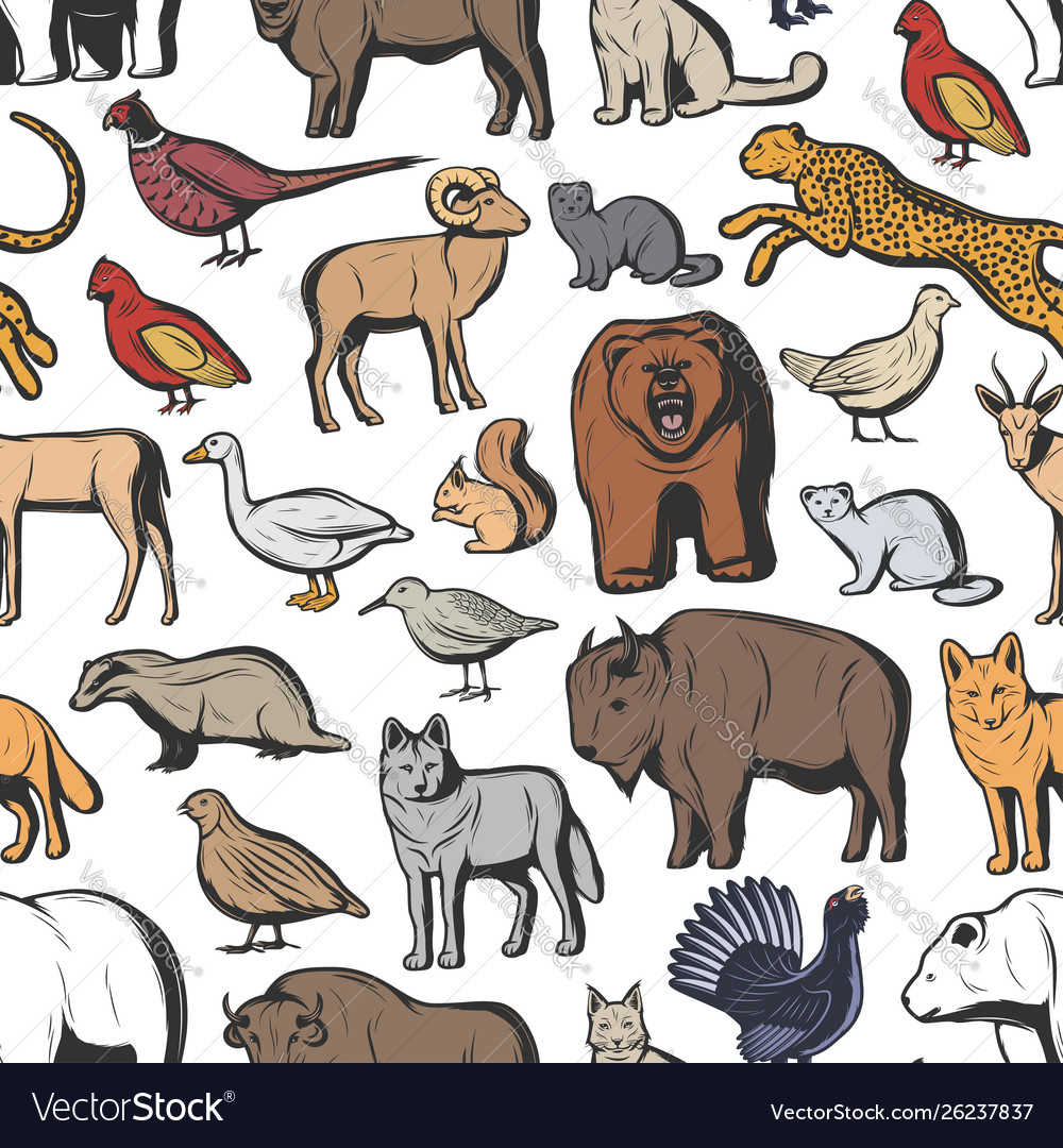 Animals and birds seamless pattern hunting sport Vector Image Animals and birds seamless pattern hunting sport Vector Image