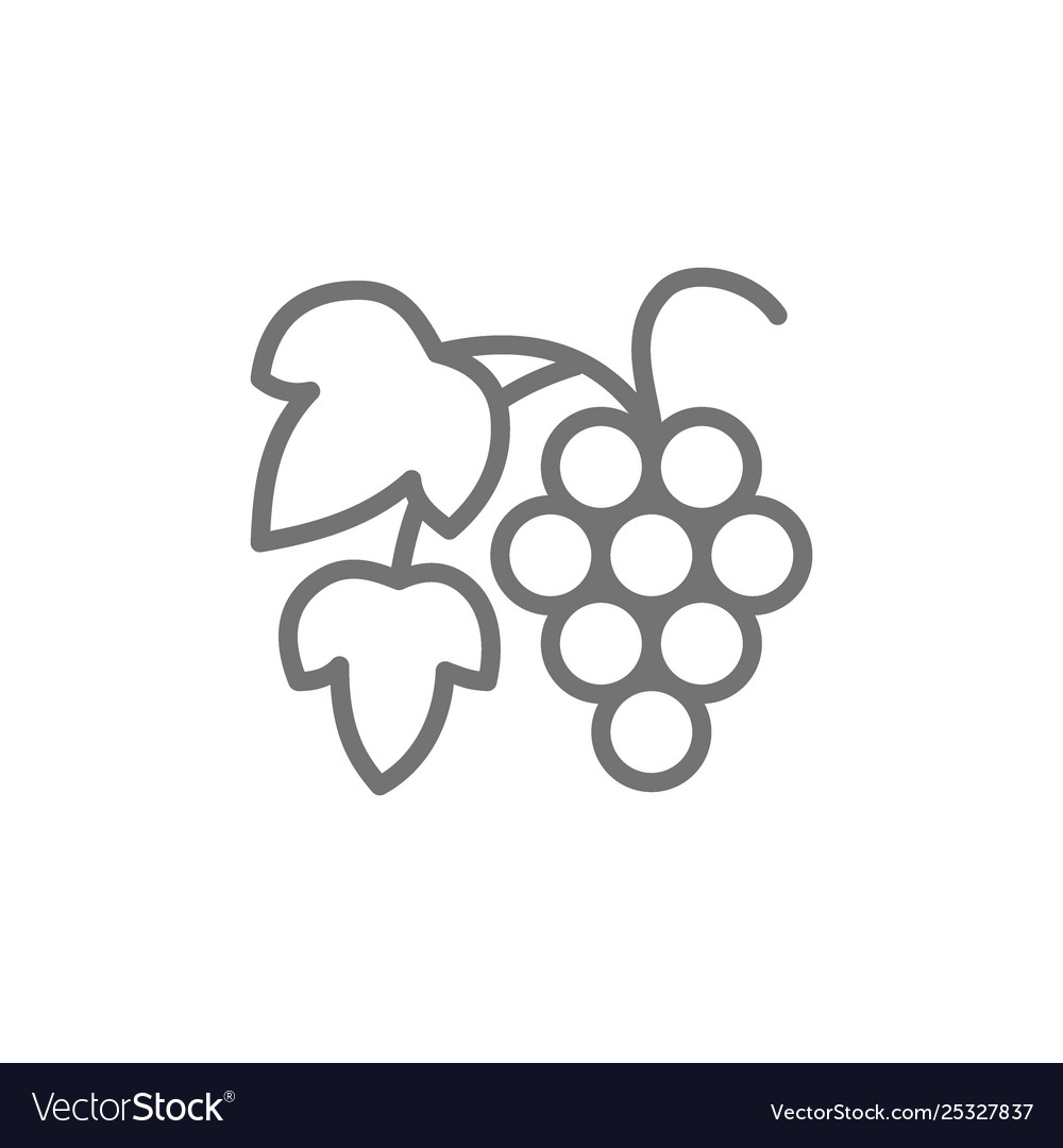 Grape branch with berries line icon vector image Grape branch with berries line icon