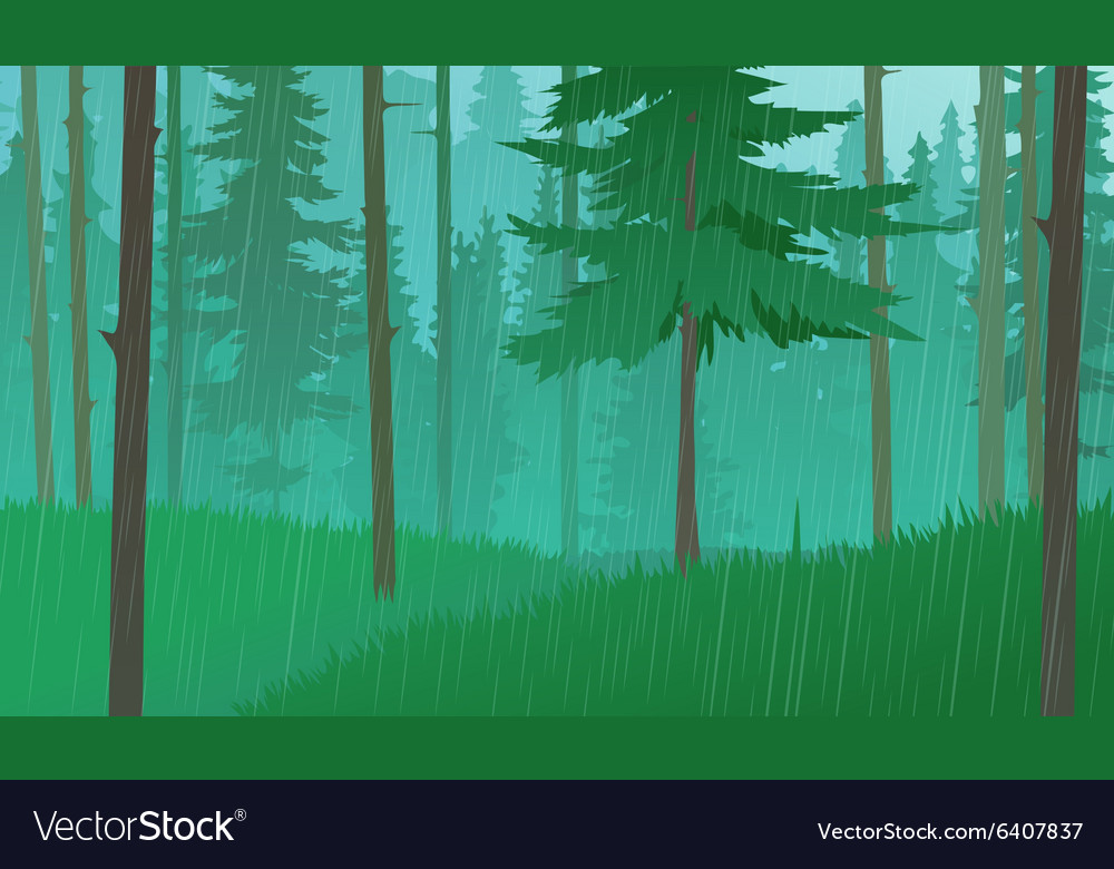 Rain in the forest