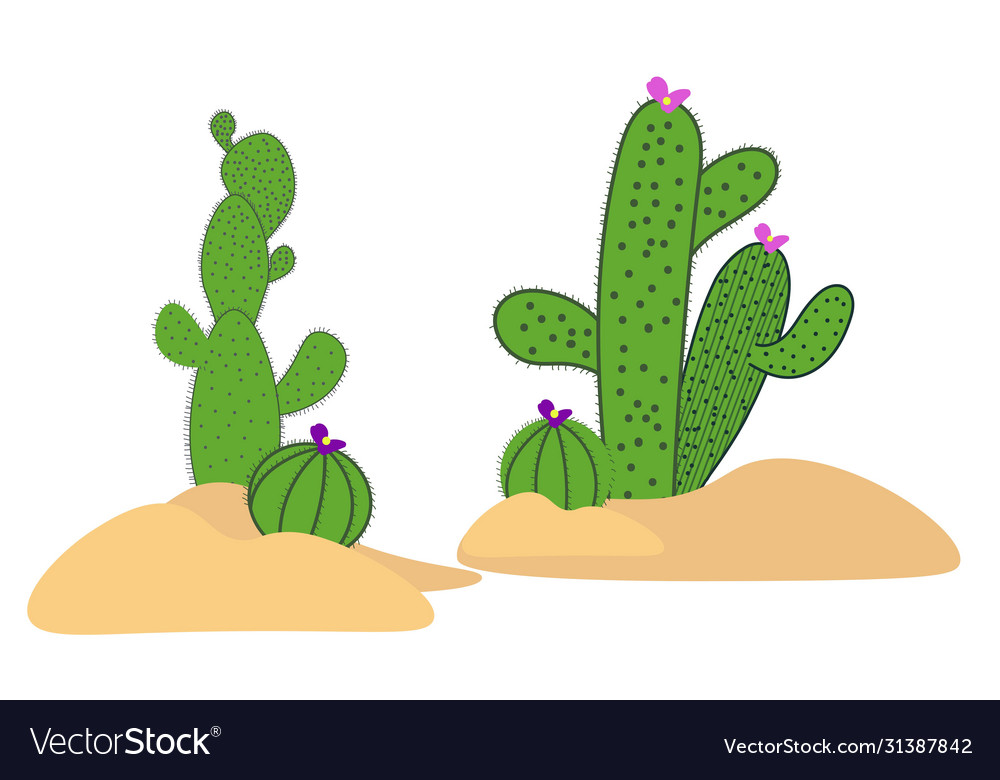 Drawing cactus set elements for background Vector Image Drawing cactus set elements for background