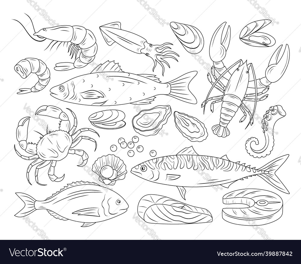 Hand drawn seafood vector image Hand drawn seafood